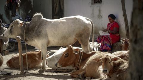 Where Livelihood and Life Live Side by Side.